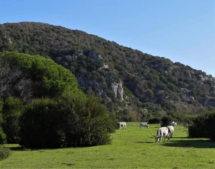 Hotel B&B Rispescia Grosseto Luaran gambar