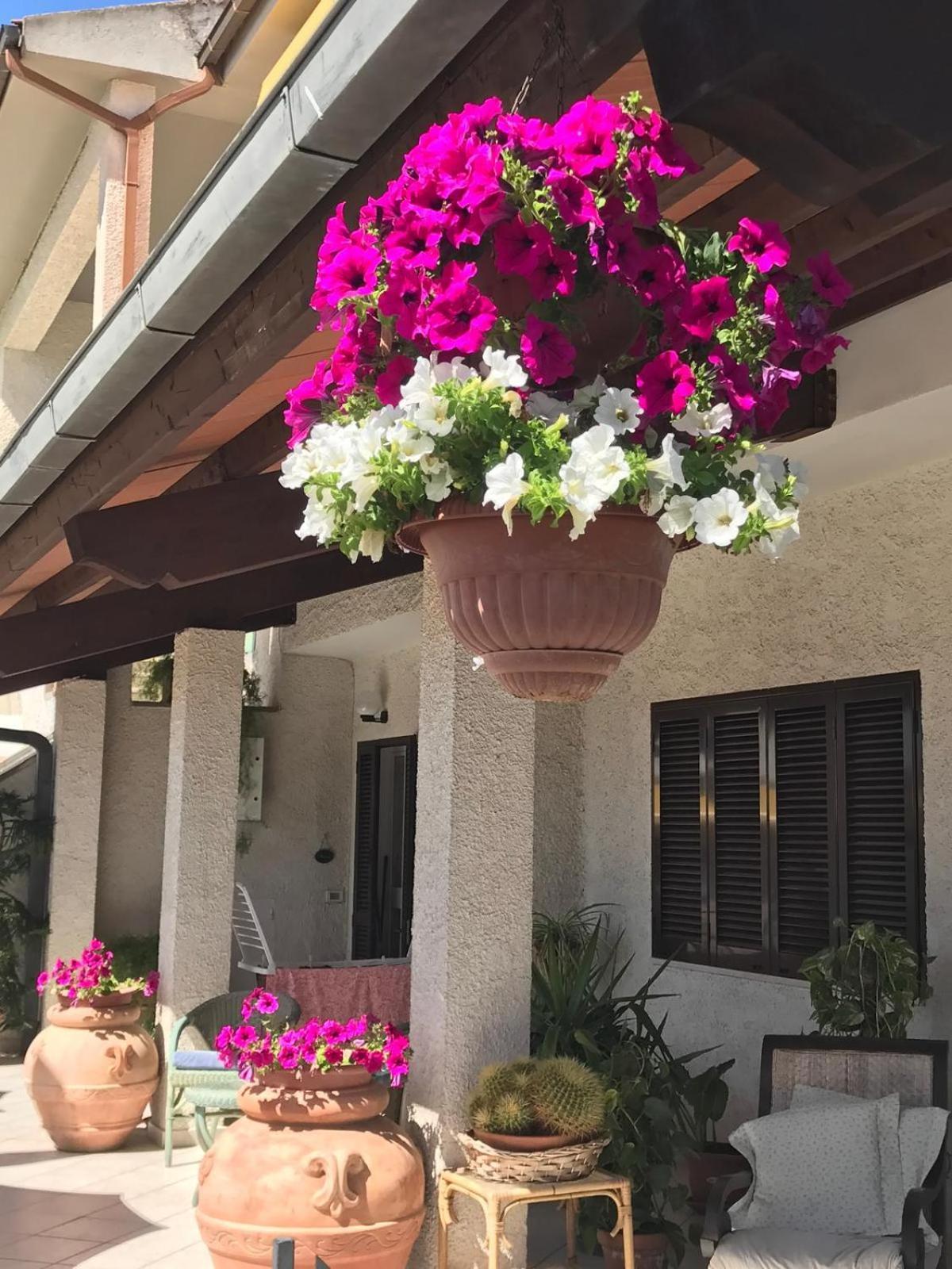 Hotel B&B Rispescia Grosseto Luaran gambar