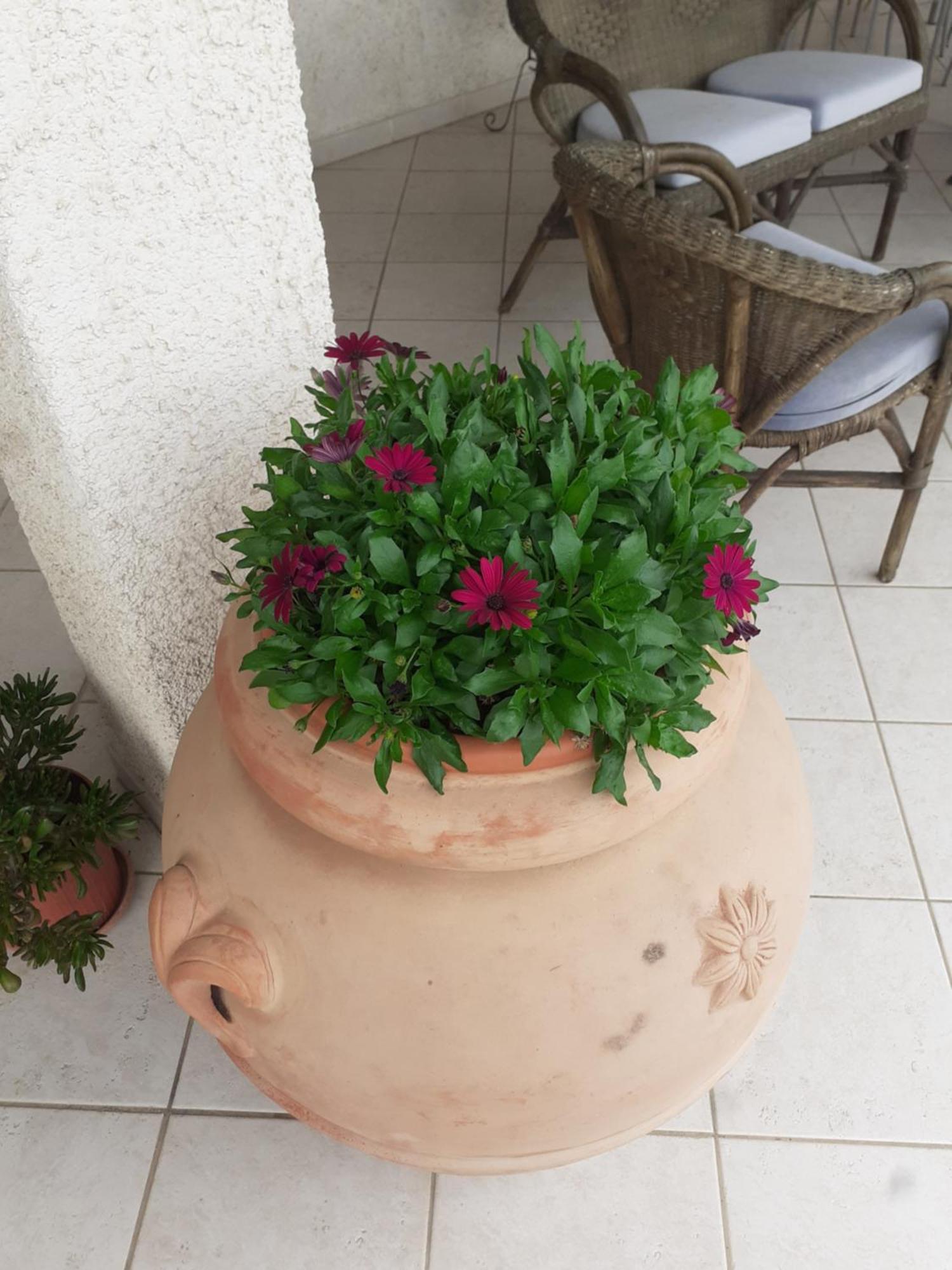 Hotel B&B Rispescia Grosseto Luaran gambar