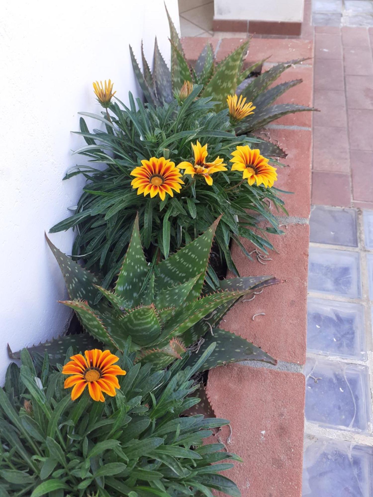 Hotel B&B Rispescia Grosseto Luaran gambar