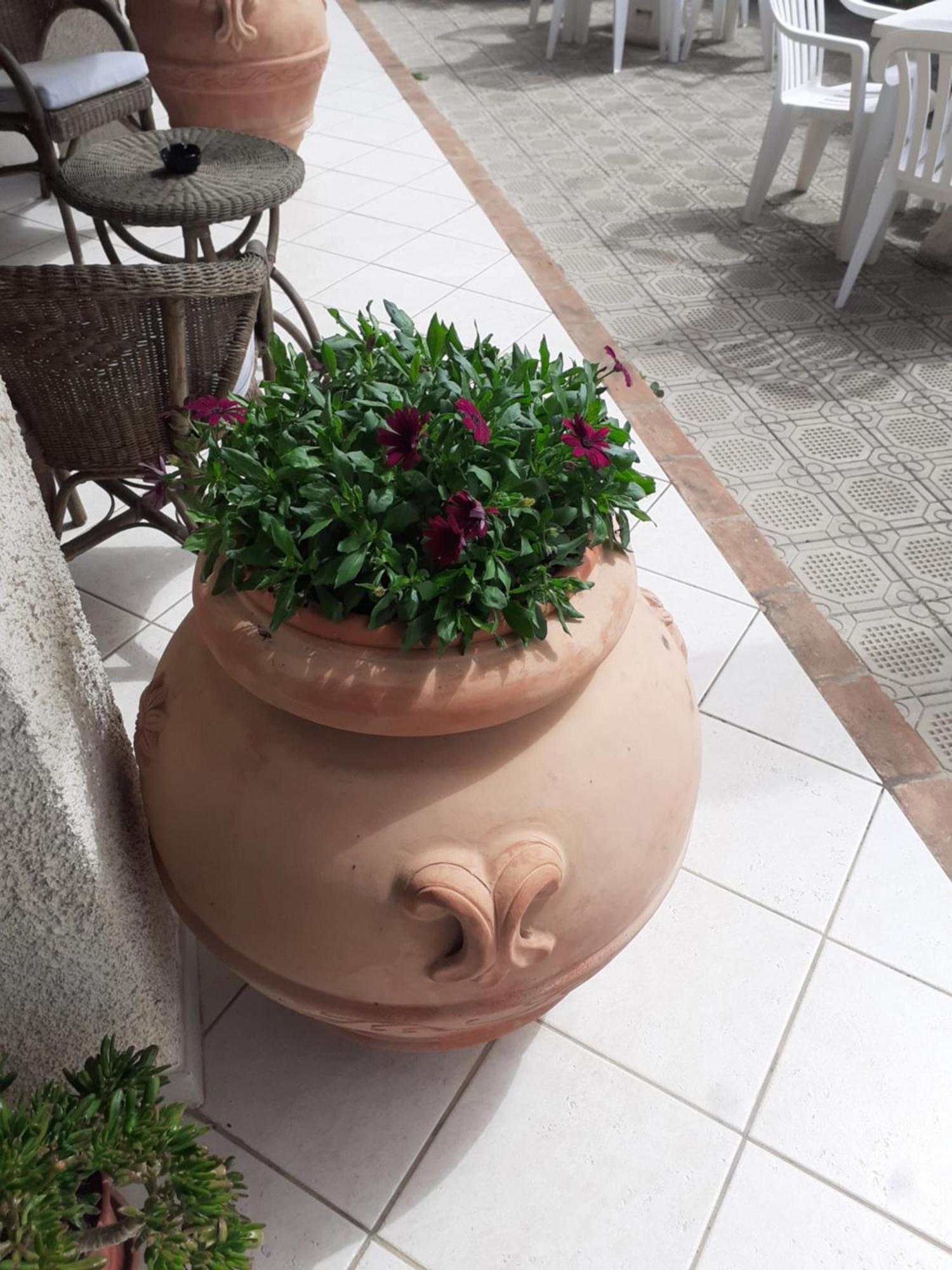 Hotel B&B Rispescia Grosseto Luaran gambar