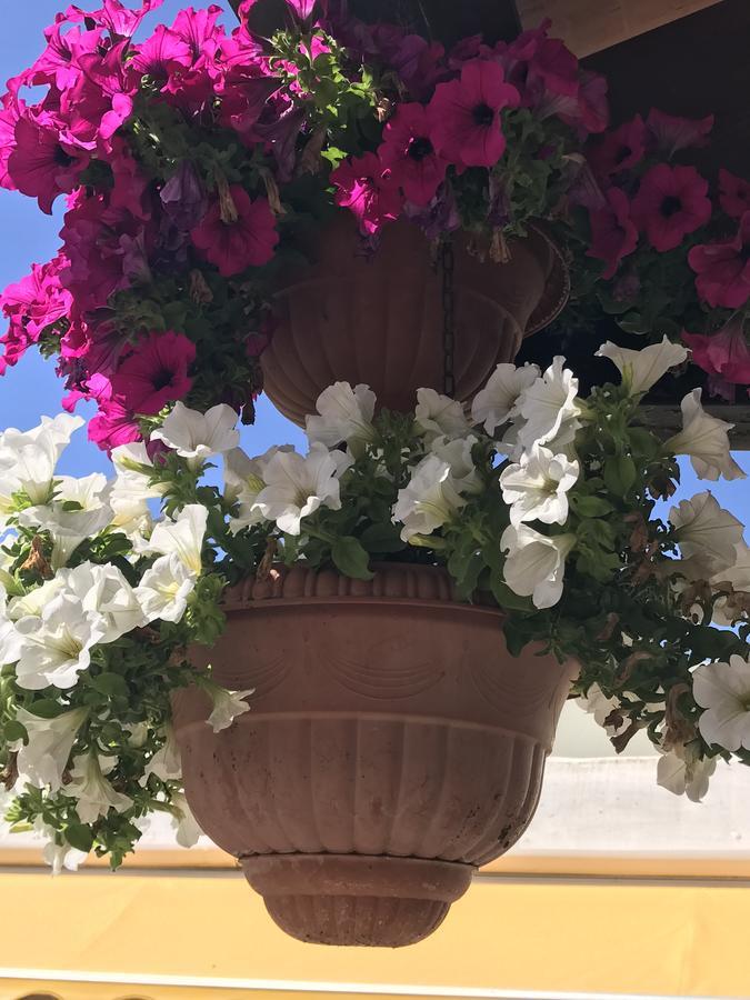 Hotel B&B Rispescia Grosseto Luaran gambar