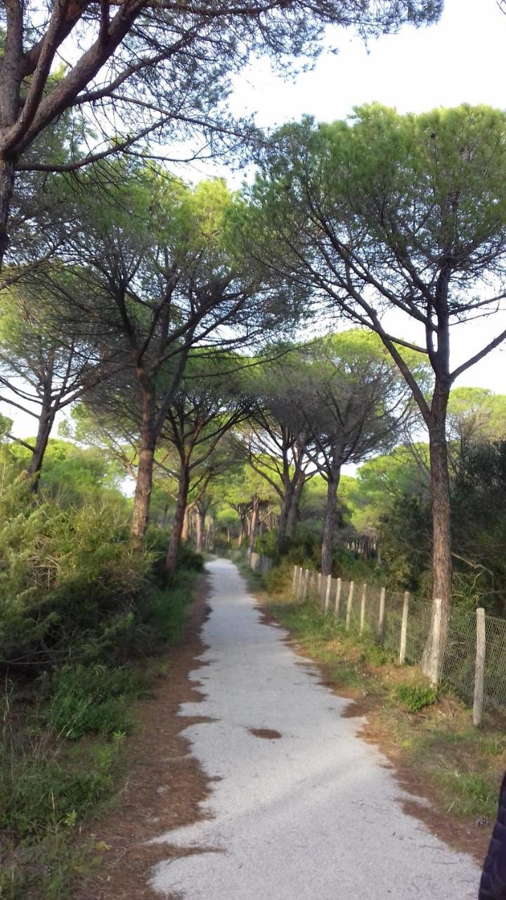Hotel B&B Rispescia Grosseto Luaran gambar